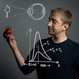 Illustration zum Buch: Tomatensehen