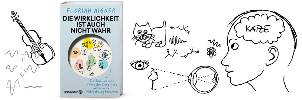 Buchcover: Die Wirklichkeit ist auch nicht wahr