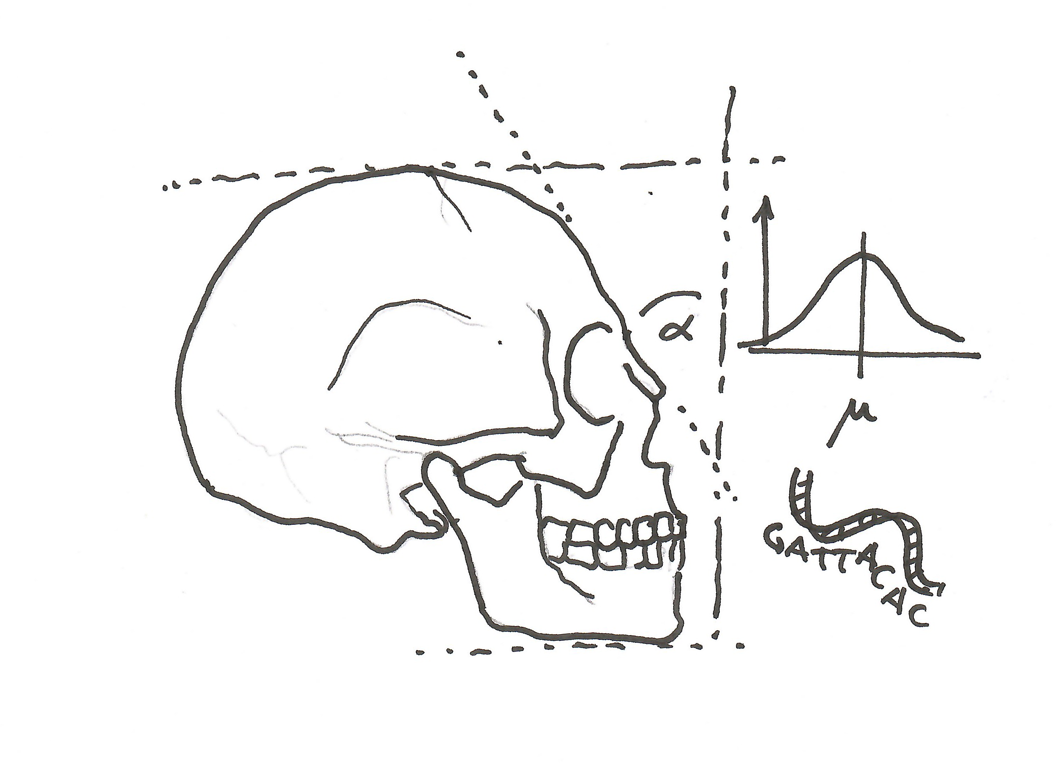 Stylised drawing of a skull with a bell curve and DNA